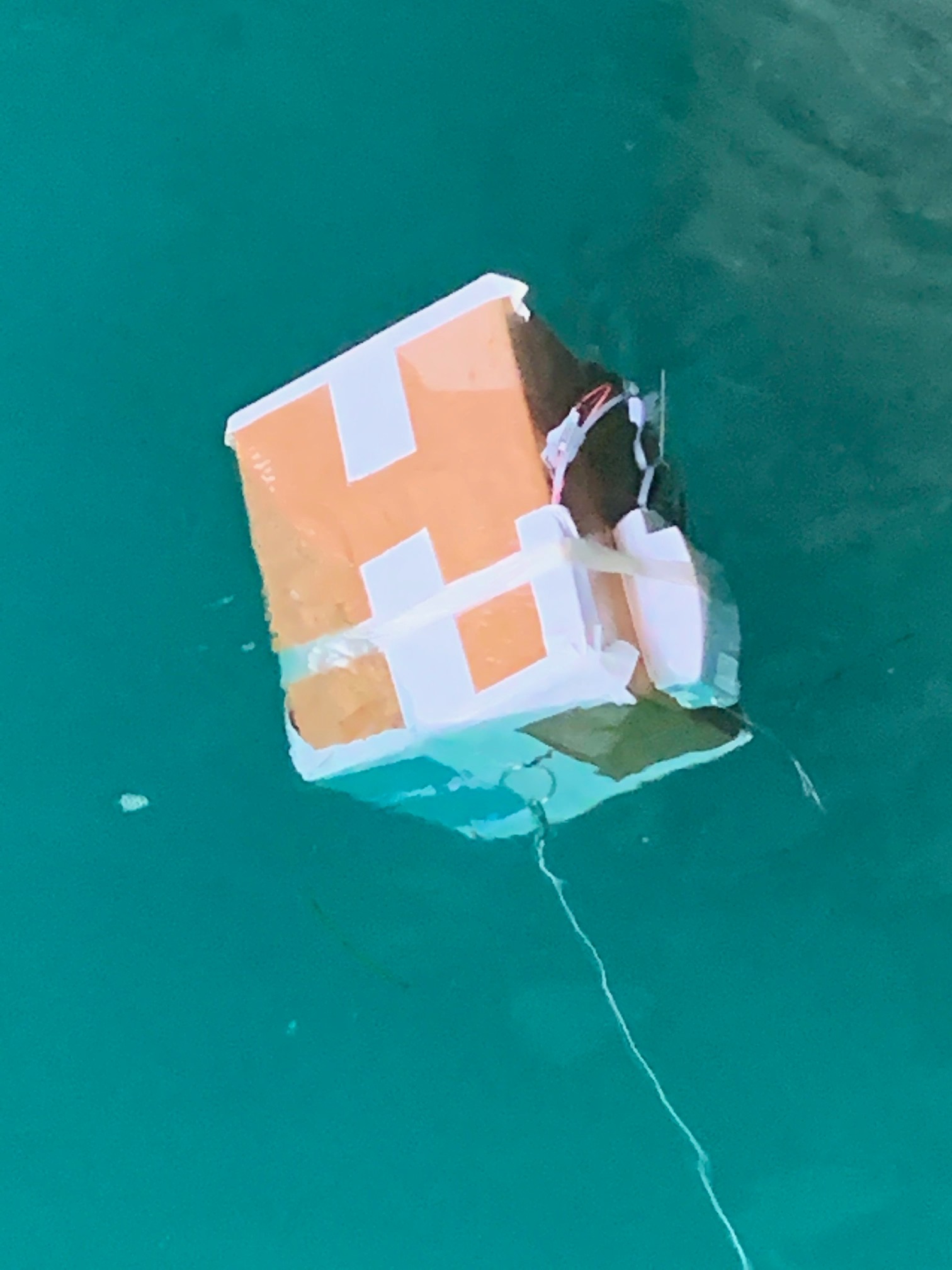 mysterious-floating-object-in-the-harbour-my-little-local